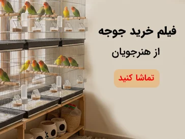 خرید جوجه از هنر جویان